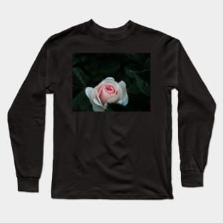 Rose - macro poster Long Sleeve T-Shirt